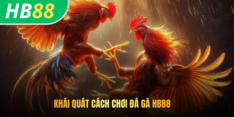 Khái quát cách chơi đá gà HB88