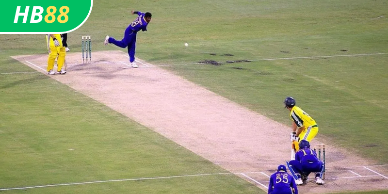 Cricket HB88: Mẹo cá cược cricket hiệu quả tại HB88