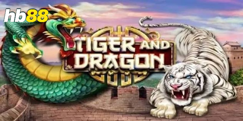 Rồng hổ thắng nhờ cửa cược HB88 – Nên cược vào cửa nào? 4 Cách lựa chọn cửa cược hợp lý